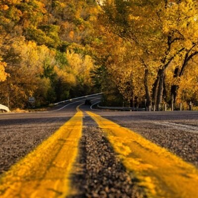 The Magical Yellow Brick Road
