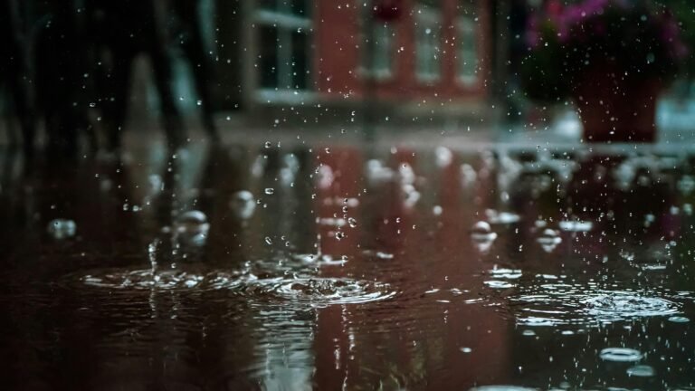 Hues of Monsoon