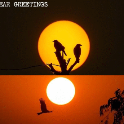 The New year greeting wings