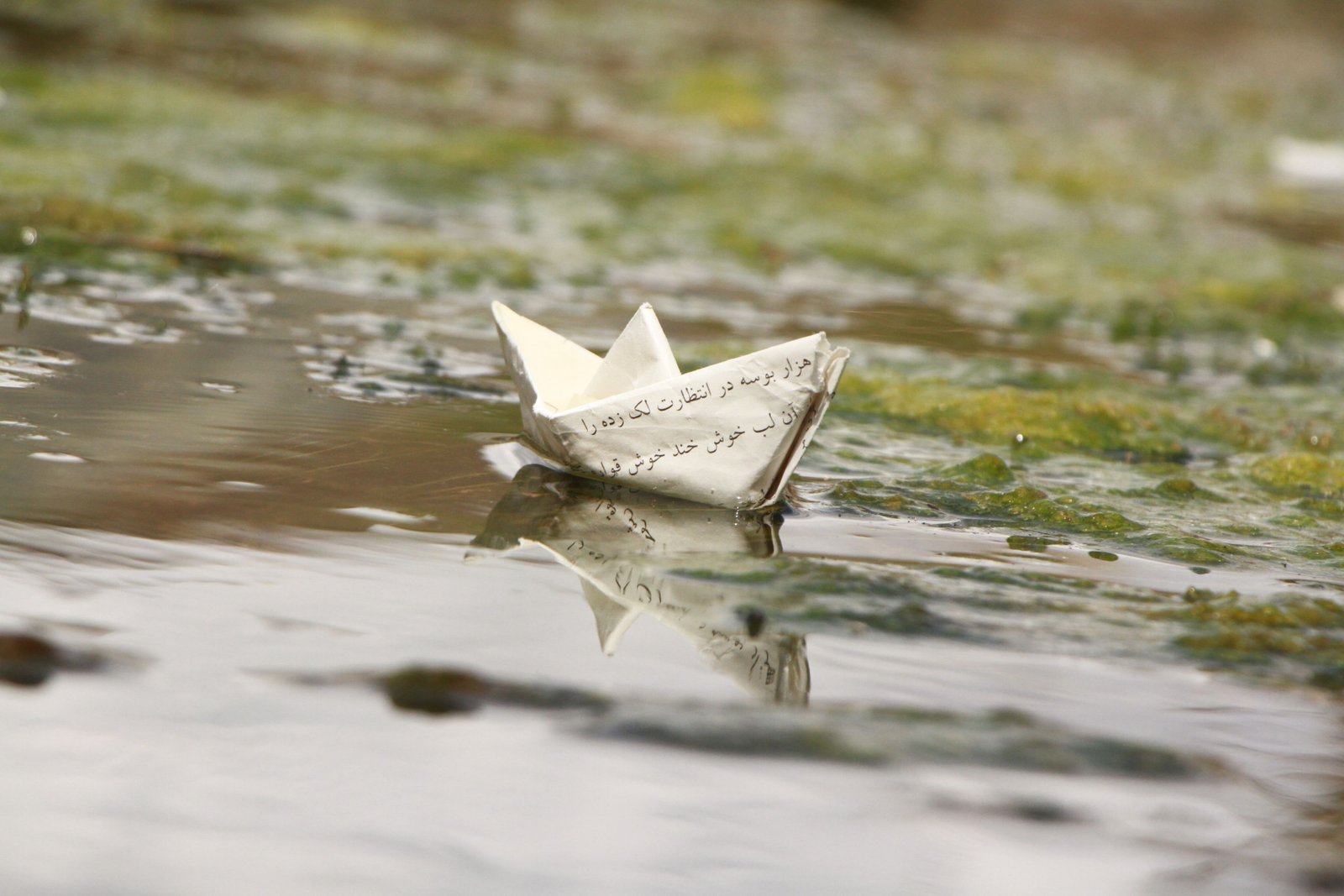 Paper Boat, Monsoon, Rain and puddle