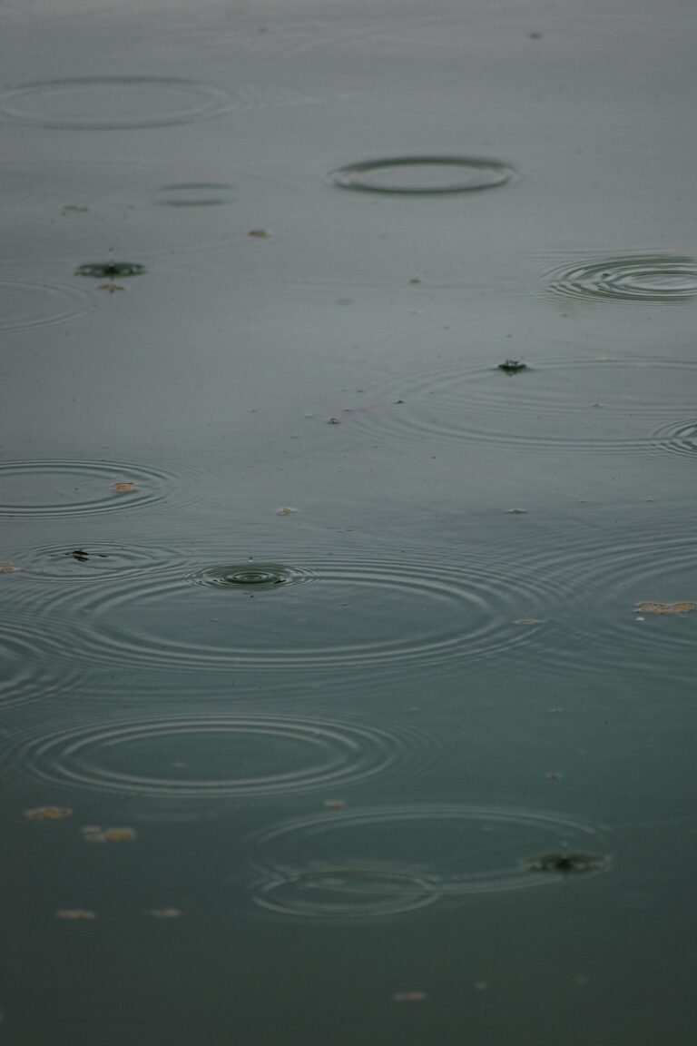 Rain