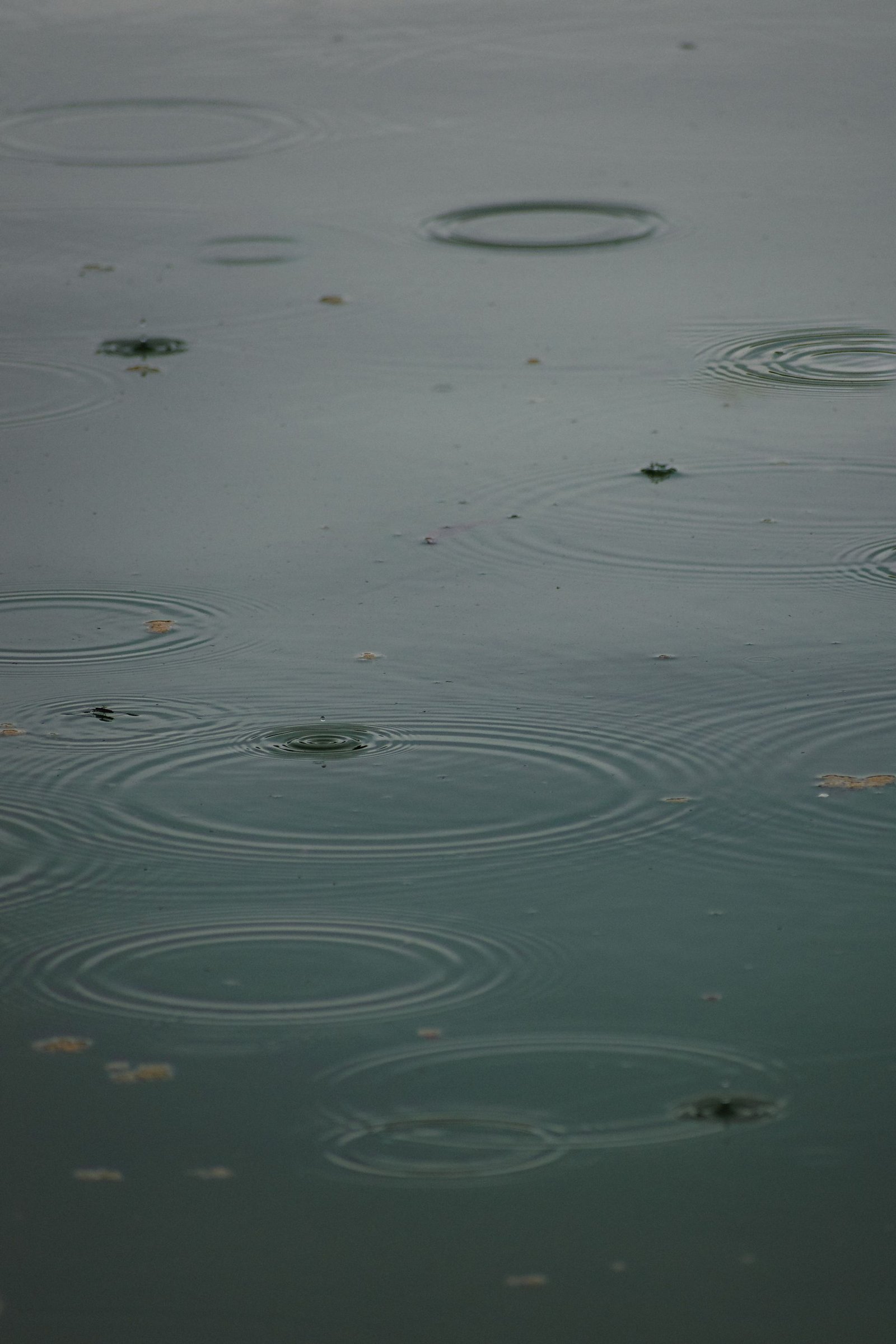 Rain